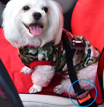 CINTURON DE SEGURIDAD PARA MASCOTA